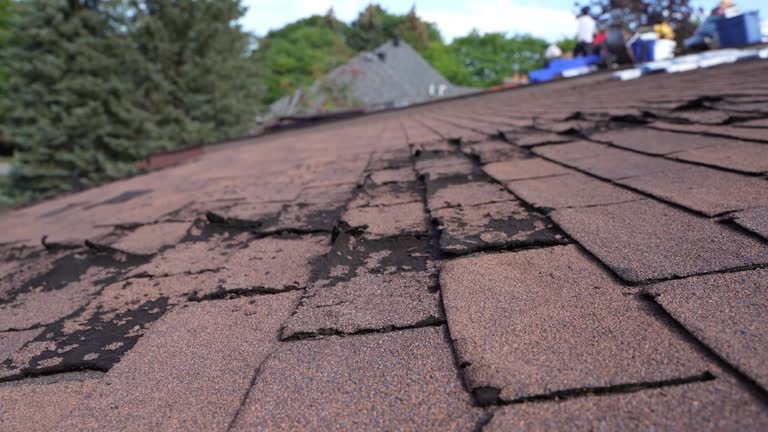Best Roof Insulation Installation  in Woodlawn, OH